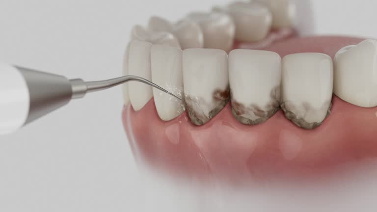 Reliable Emergency Dentist contractor in Amherst County County, VA by Dentist Open Now